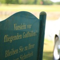 IMG_6198.jpeg