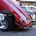 IMG_6554.jpeg