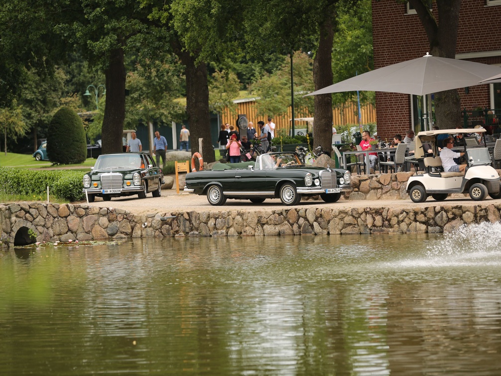 IMG 7764
