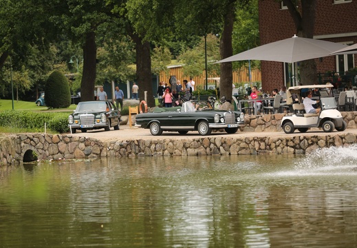 IMG 7764