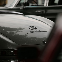 IMG 7855