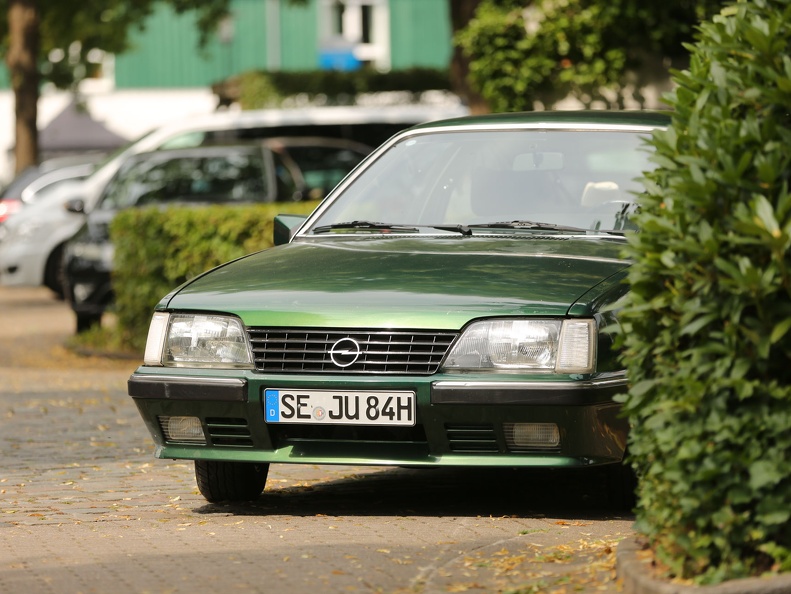 IMG 7889