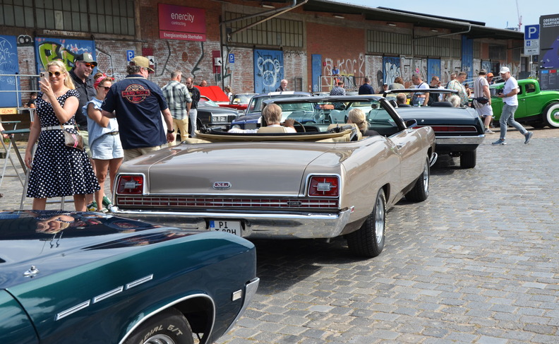 DSC_7365.jpg